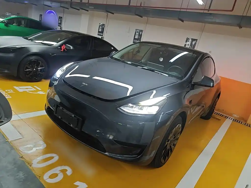 Tesla Model Y — миниатюра 2