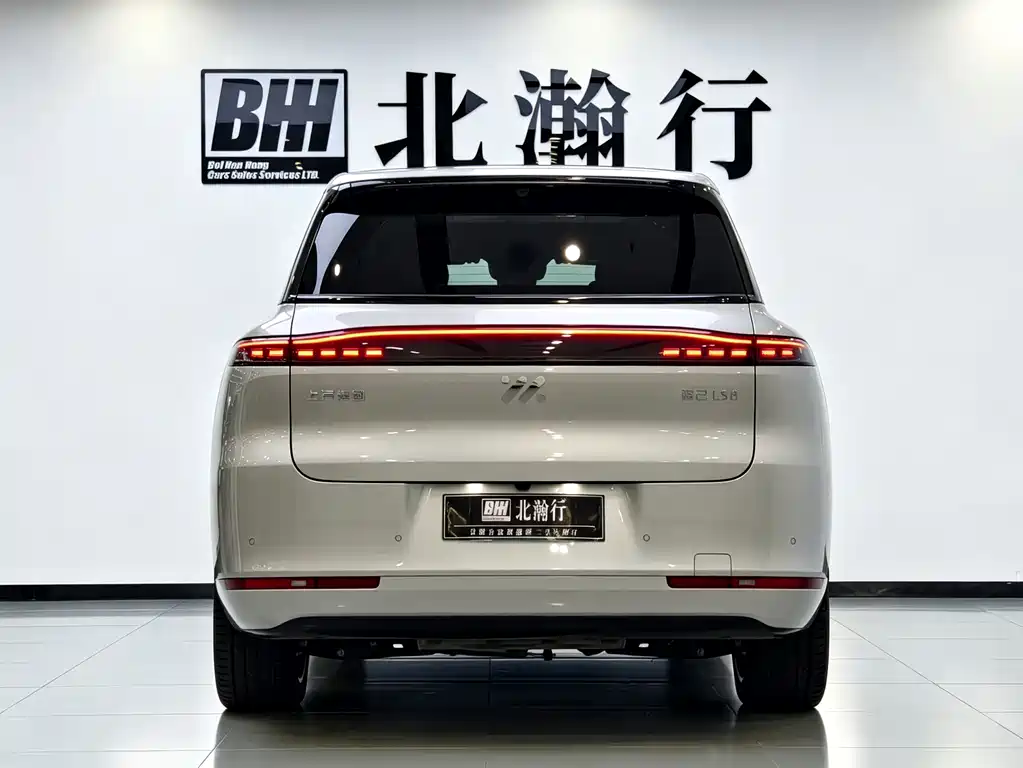 IM IM LS8 — миниатюра 5