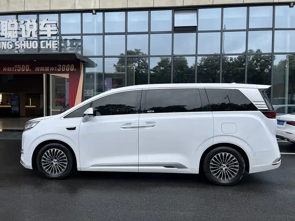 Denza Denza D9 — миниатюра 14