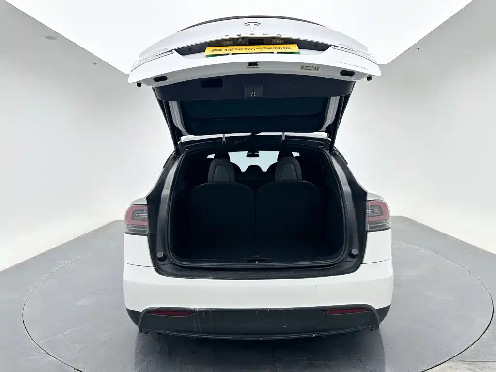 Tesla Model X — миниатюра 25