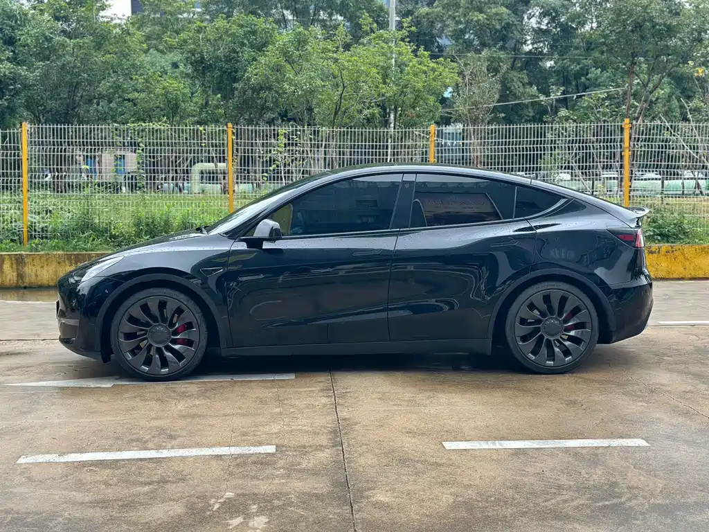 Tesla Model Y — миниатюра 3