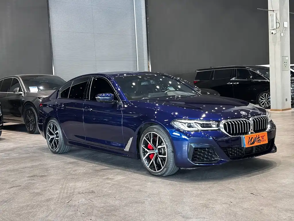 BMW 5 SERIES