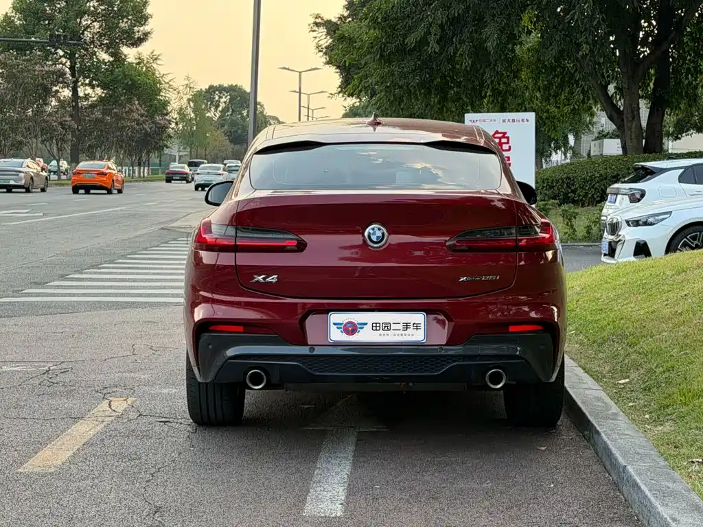 BMW X4 — миниатюра 5