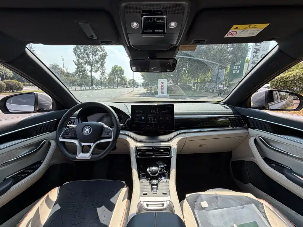 BYD PLUS New Energy — миниатюра 13