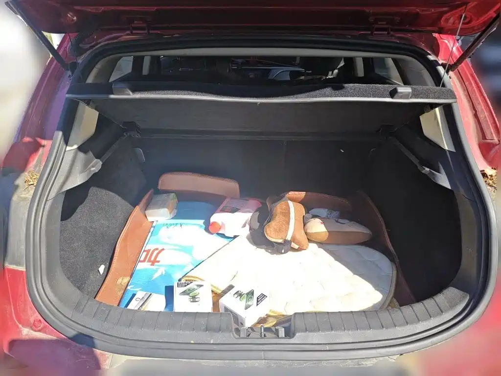 Geely Emgrand GS — миниатюра 10