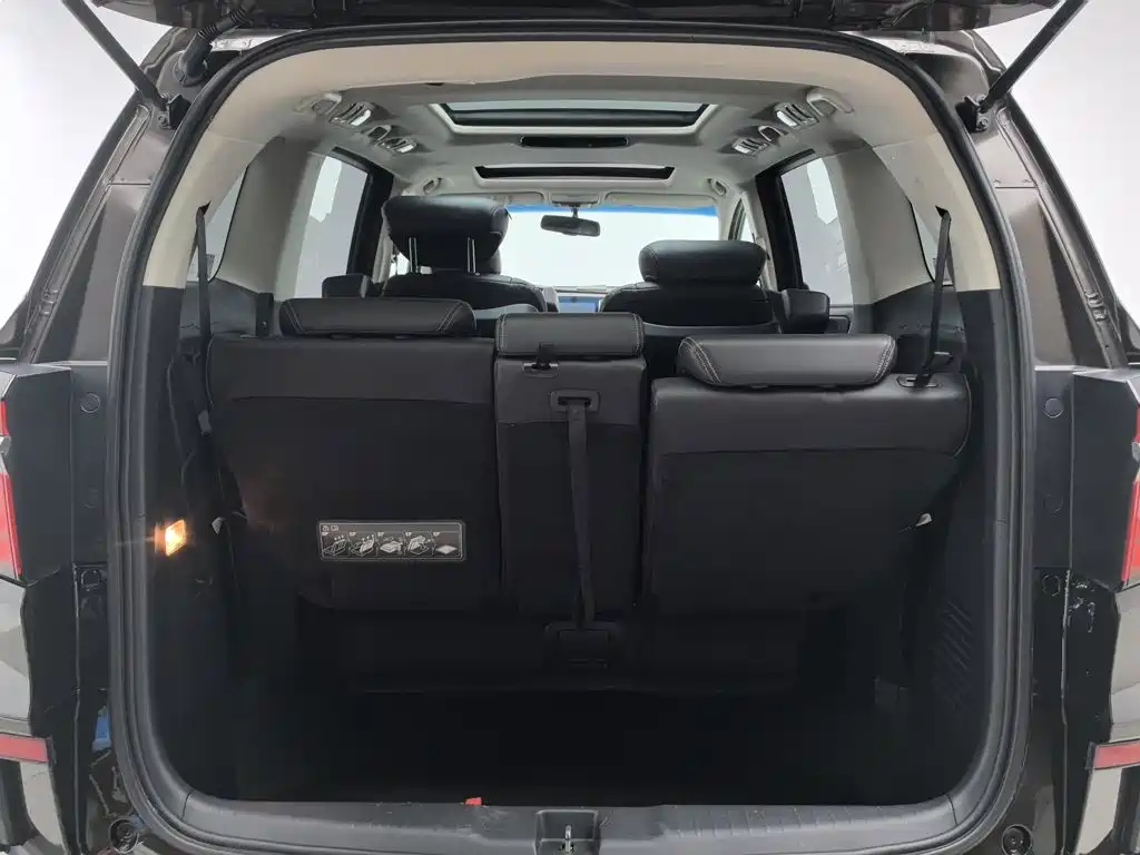 Honda Elysion — миниатюра 16