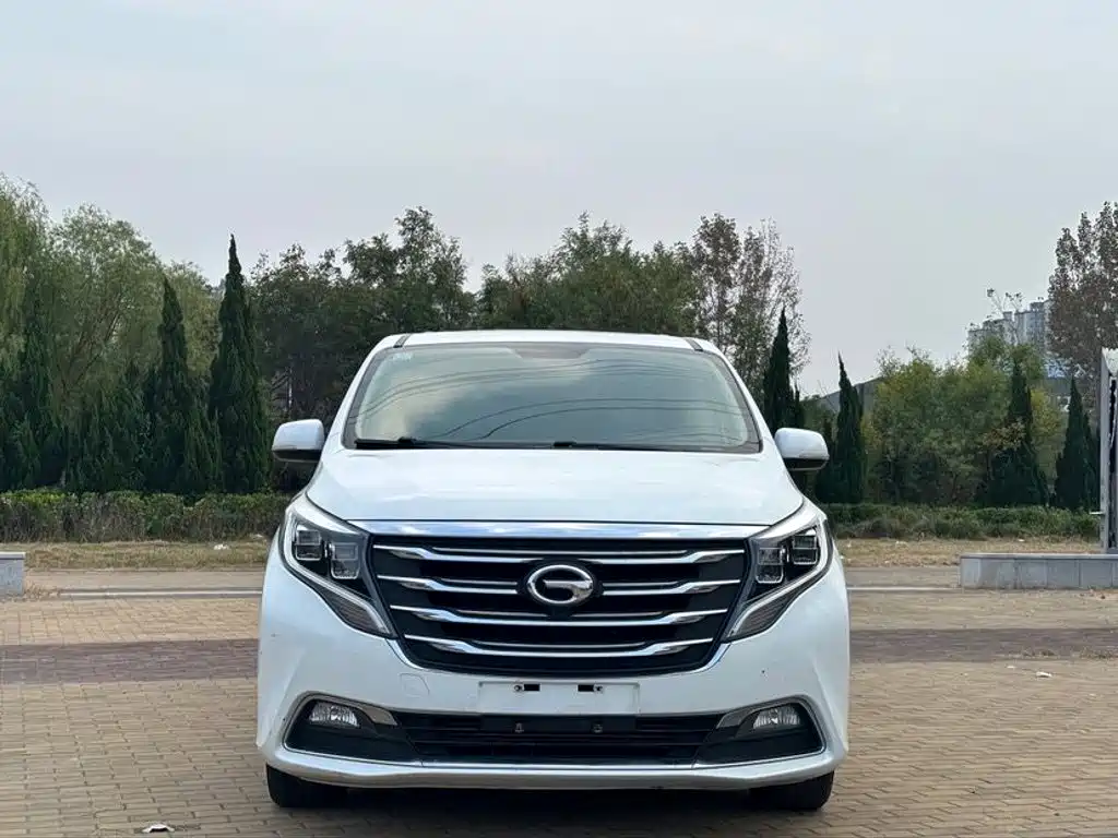 GAC Motor Trumpchi M8 — миниатюра 2