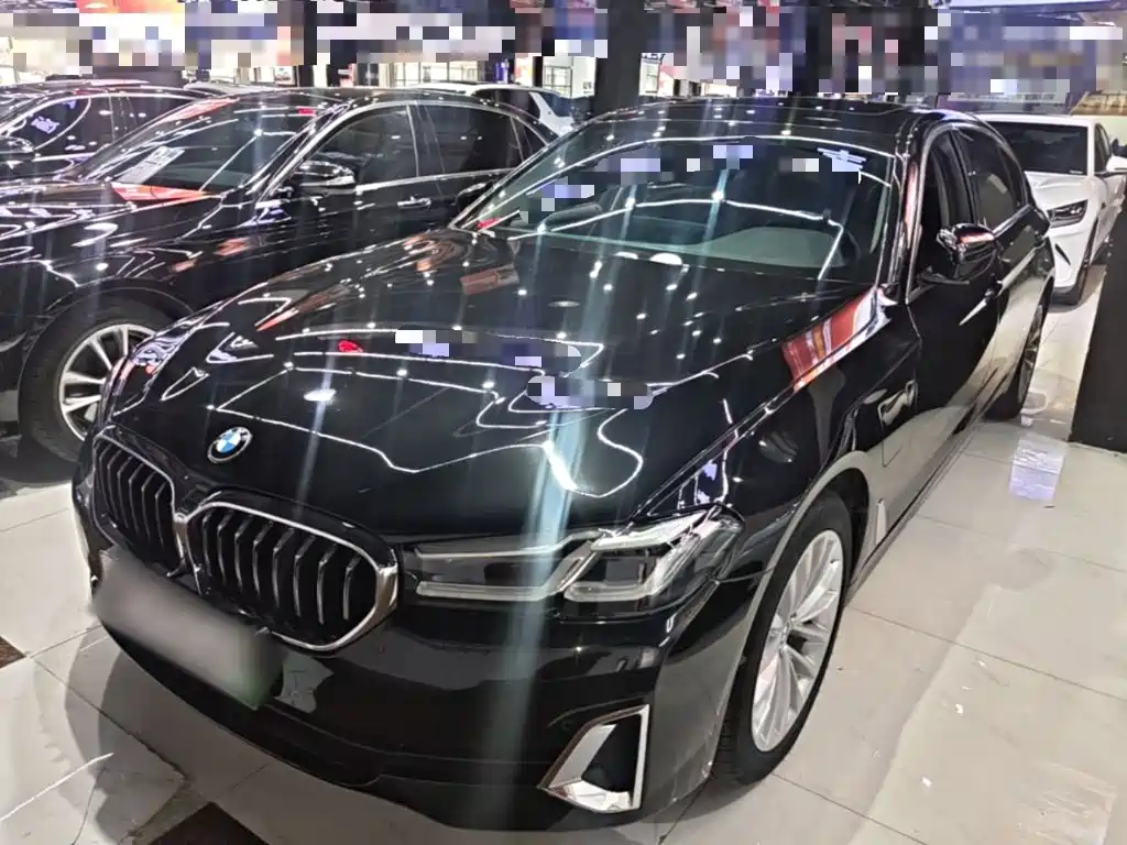 BMW 5 Series New Energy
