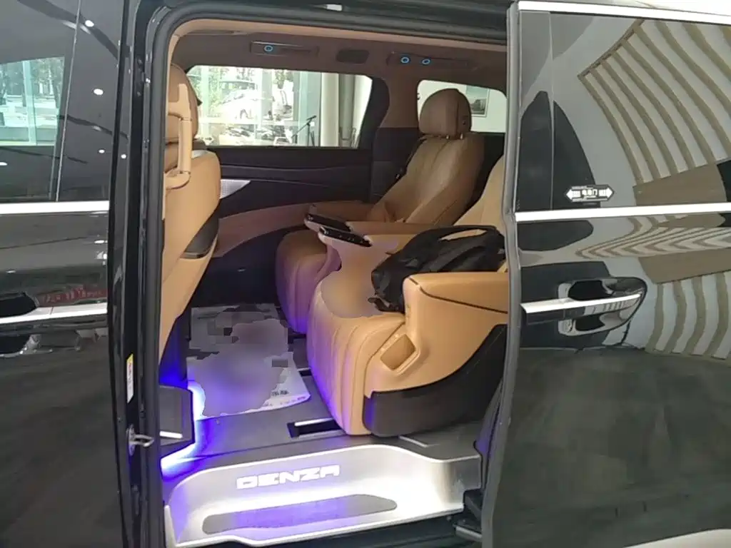 Denza Denza D9 — миниатюра 17