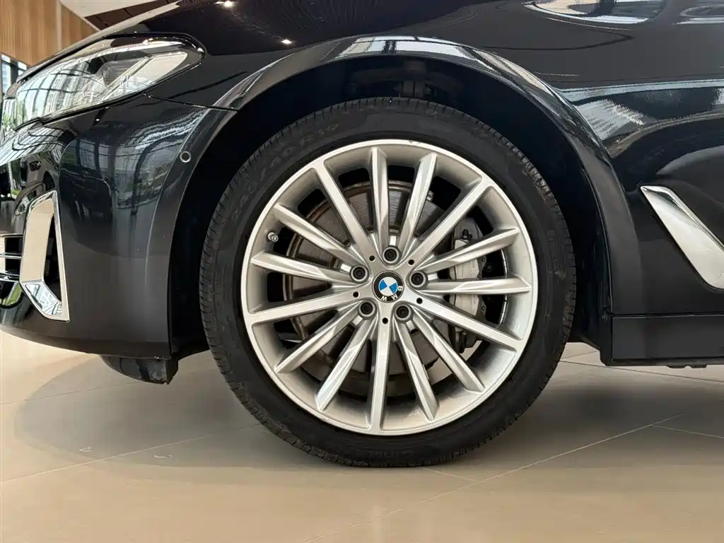 BMW 5 Series 5 2021 530Li Premium Luxury