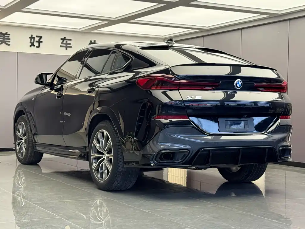 BMW X6 — миниатюра 9