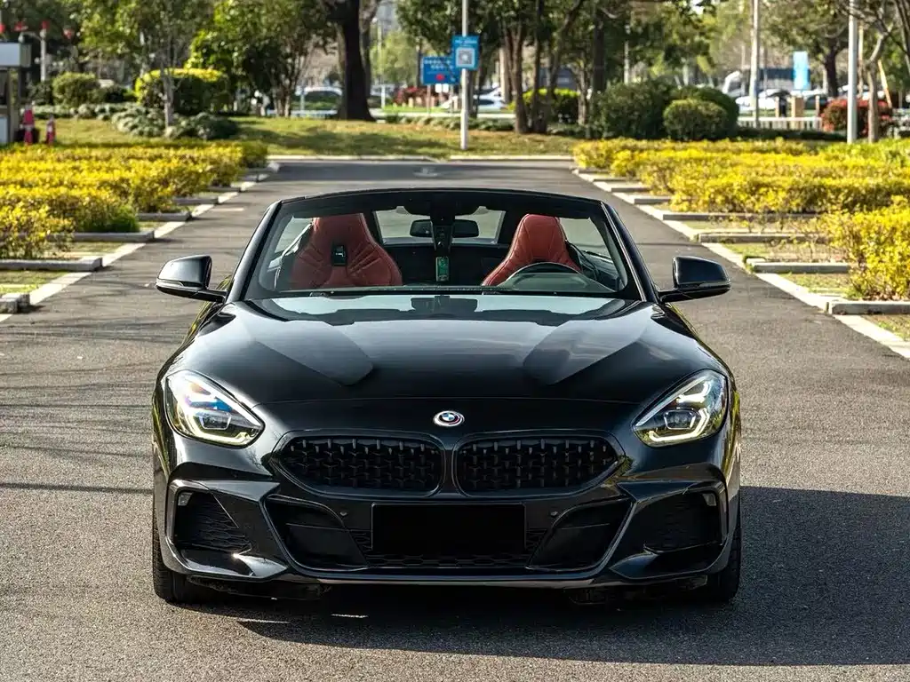 BMW Z4 — миниатюра 2