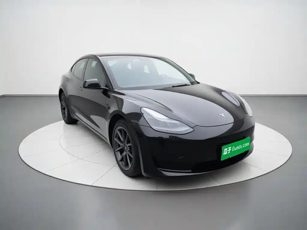 Tesla Model 3 — миниатюра 3