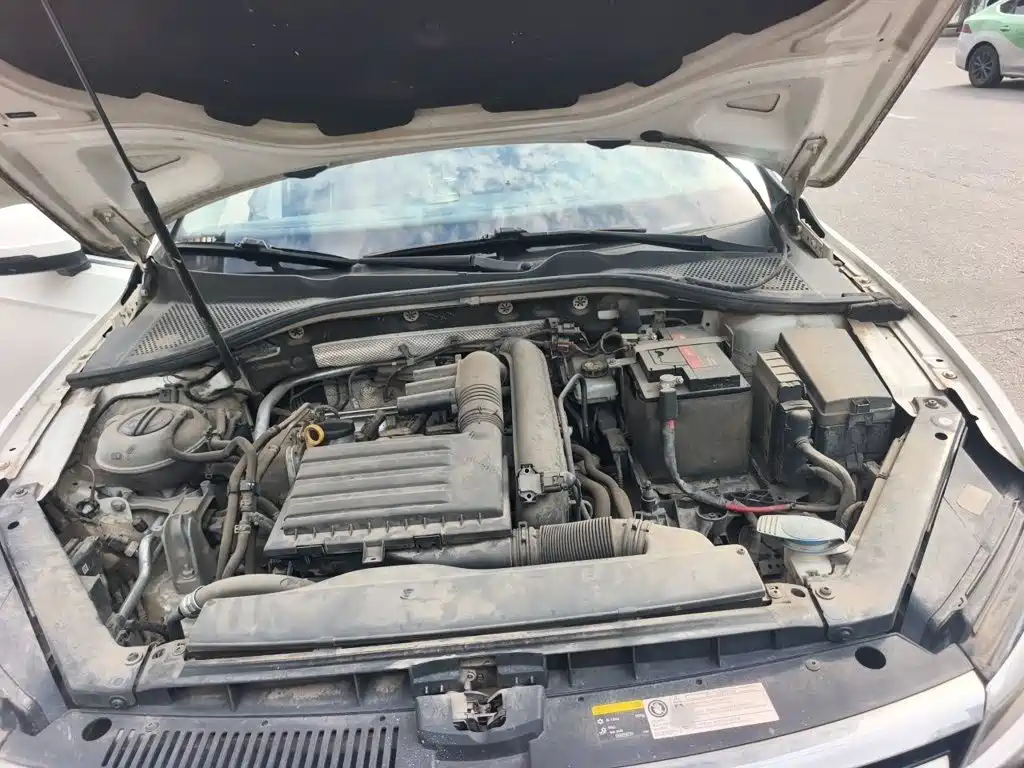 Volkswagen Lamando — миниатюра 11