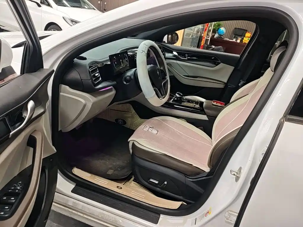 BYD Qin PLUS — миниатюра 16
