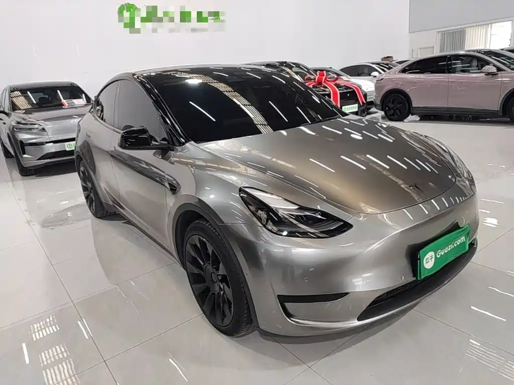 Tesla Model Y — миниатюра 4