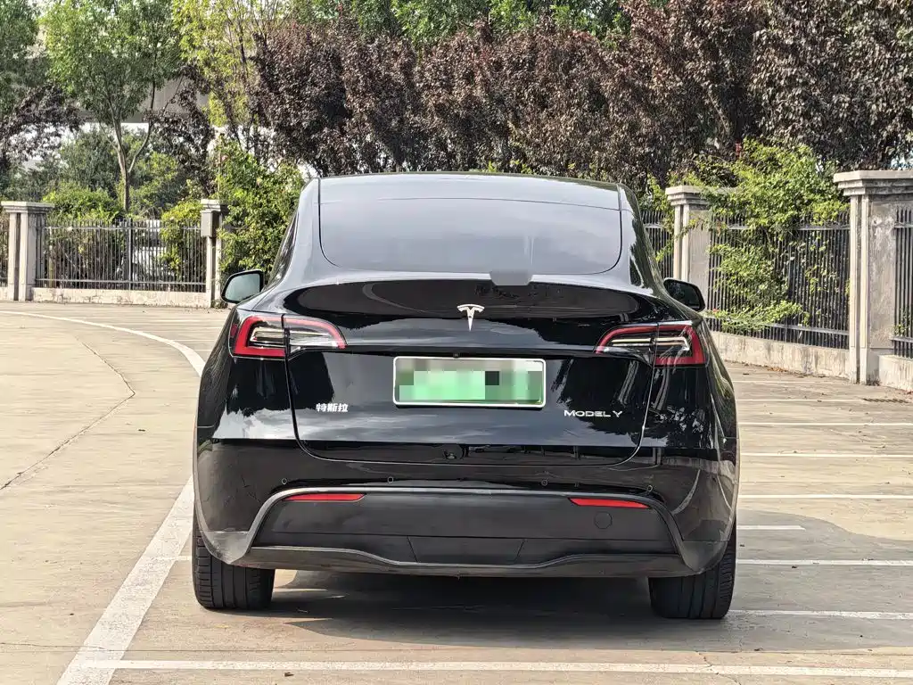 Tesla Model Y — миниатюра 5