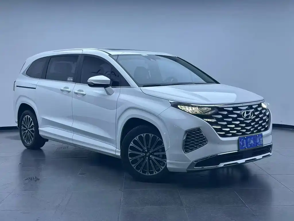 Hyundai Custo — миниатюра 3