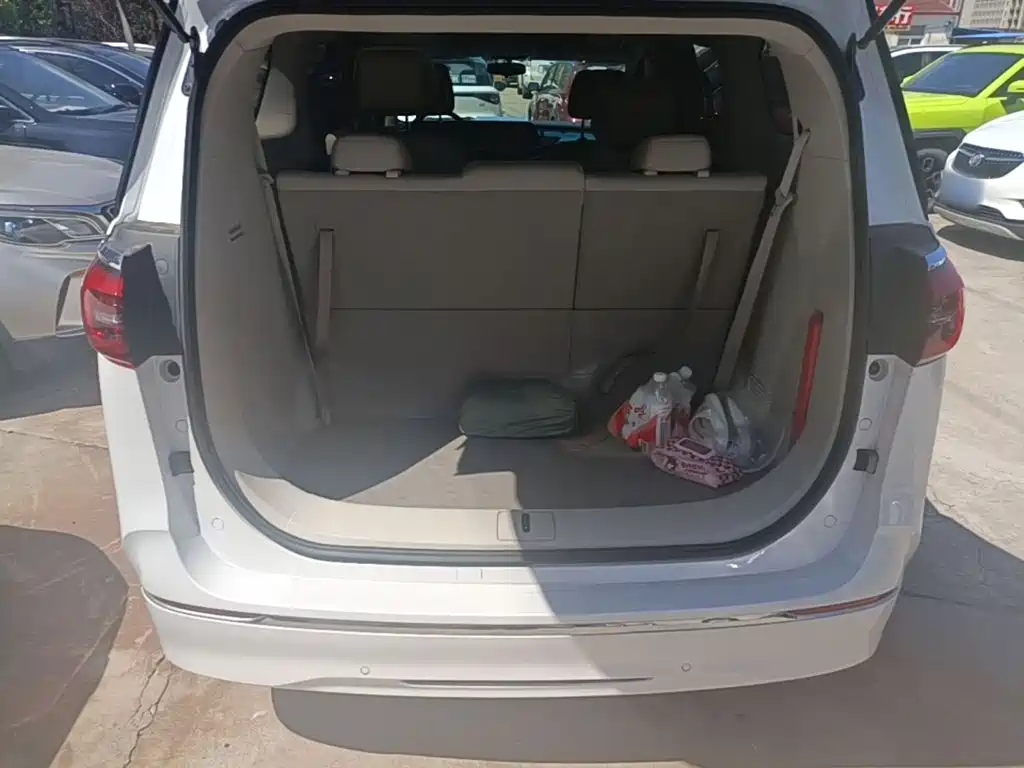 Buick GL8 — миниатюра 19