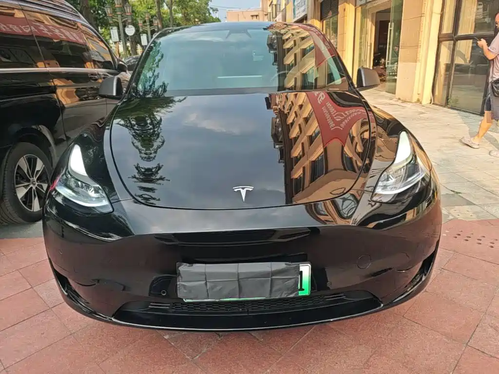 Tesla Model Y — миниатюра 3
