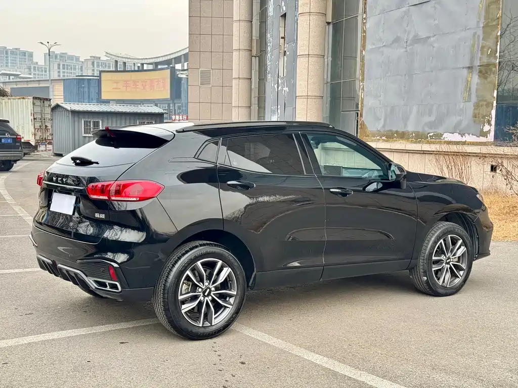 WEI PAI WEI BRAND VV5