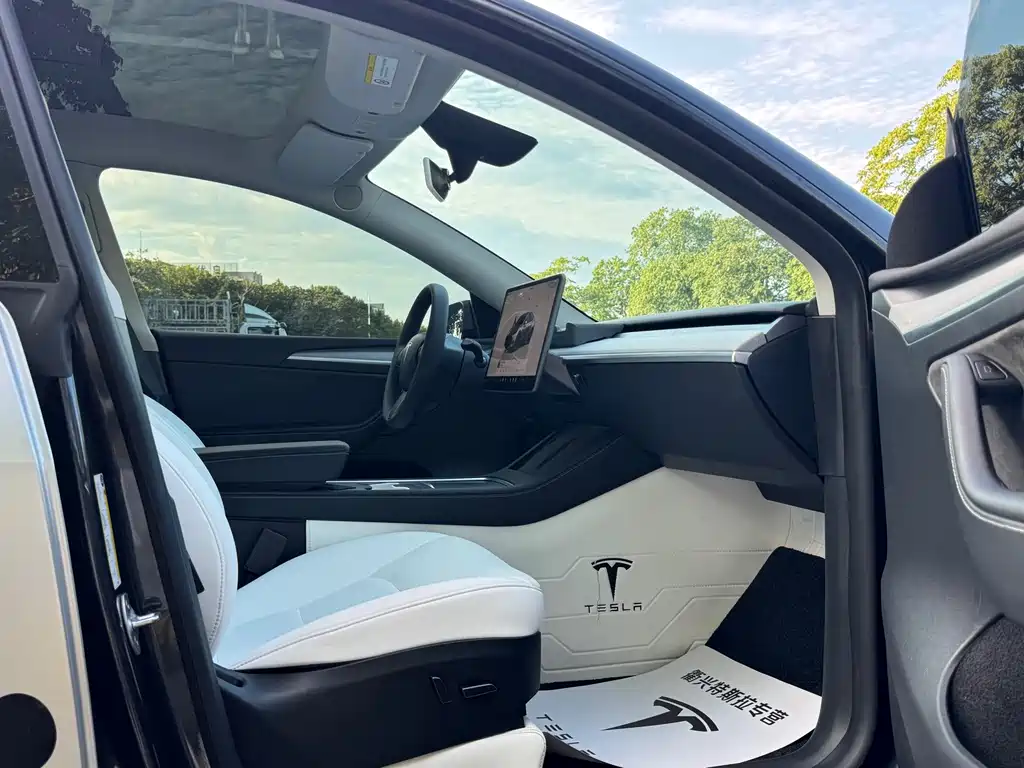 Tesla Model Y — миниатюра 6