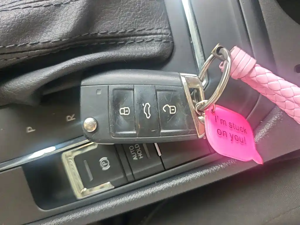 Volkswagen Lamando — миниатюра 9