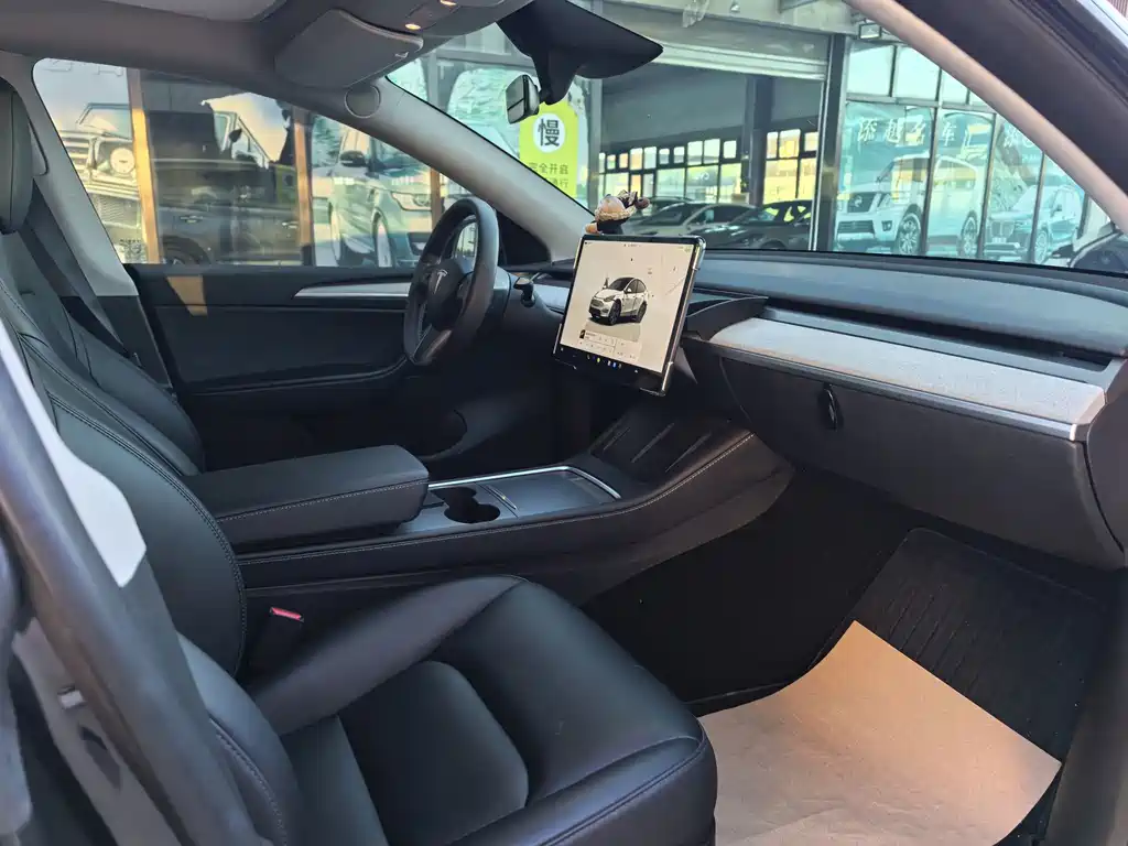 Tesla Model Y — миниатюра 8