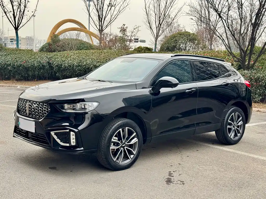 WEI PAI WEI BRAND VV5