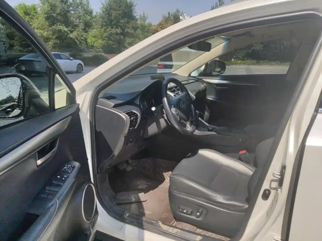 Lexus NX — миниатюра 18