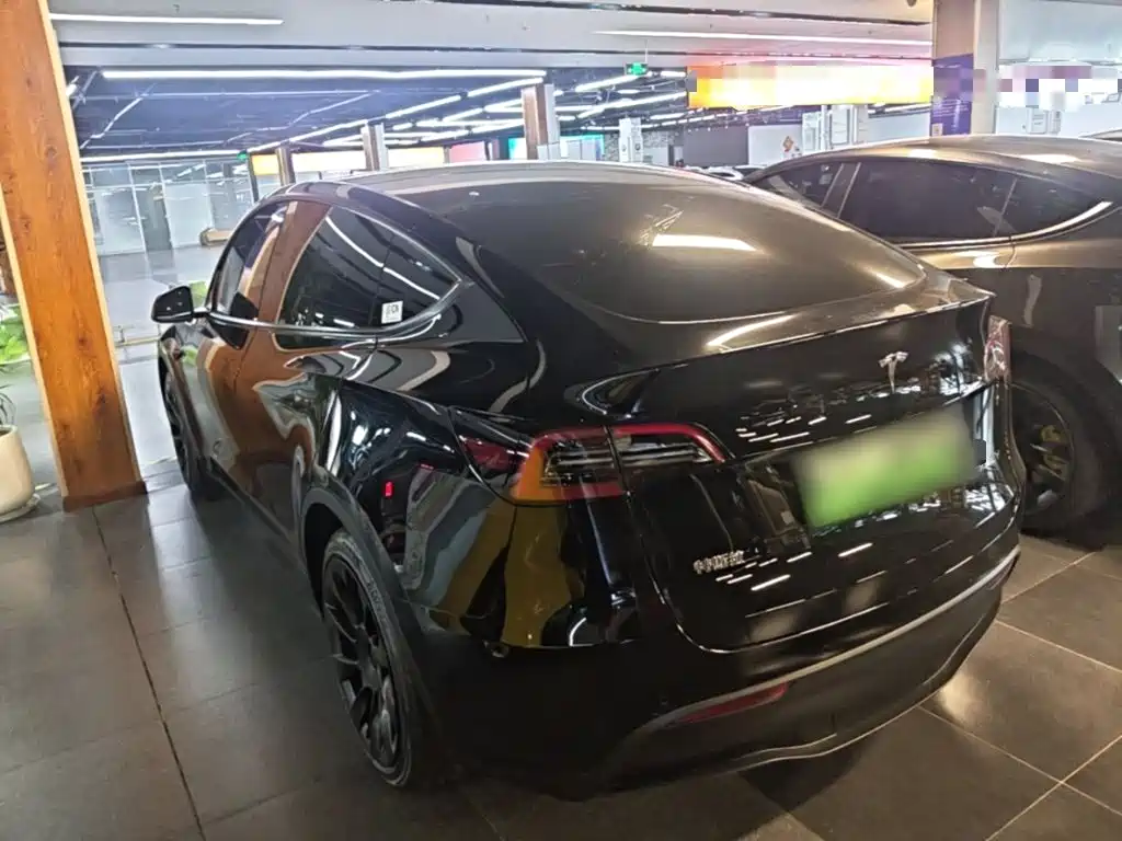 Tesla Model Y — миниатюра 5