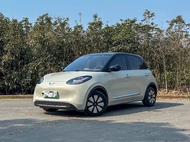 WULING WULING BINGGUO 2023