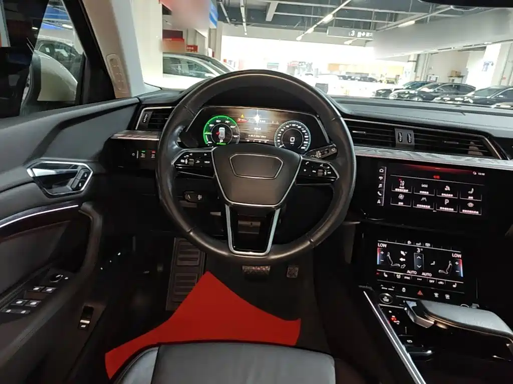 Audi e-tron (Import) — миниатюра 11
