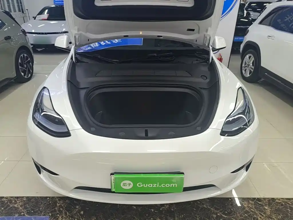 Tesla Model Y — миниатюра 20