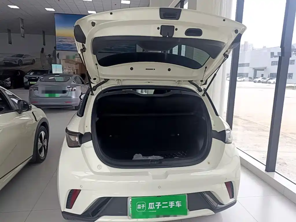 BYD Dolphin — миниатюра 19