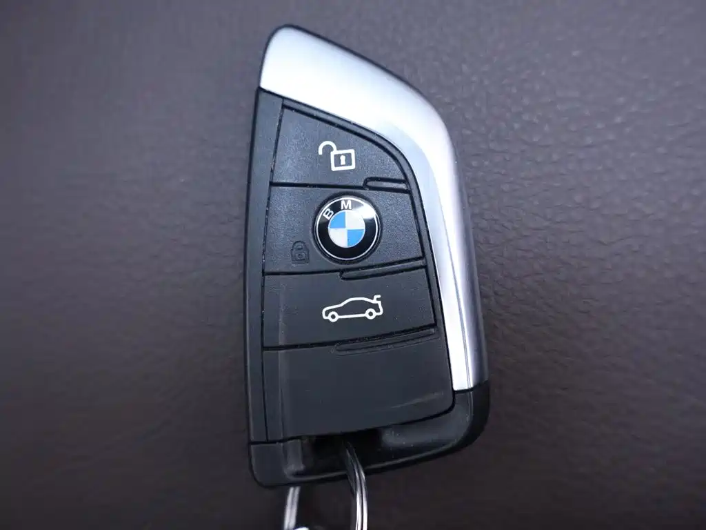 BMW X1 — миниатюра 26