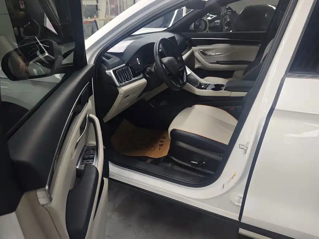 BYD PLUS New Energy — миниатюра 10