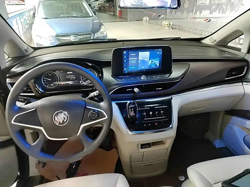 Buick GL8 — миниатюра 10