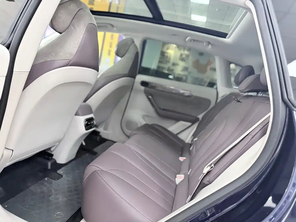 Leapmotor C11 2021 Luxury