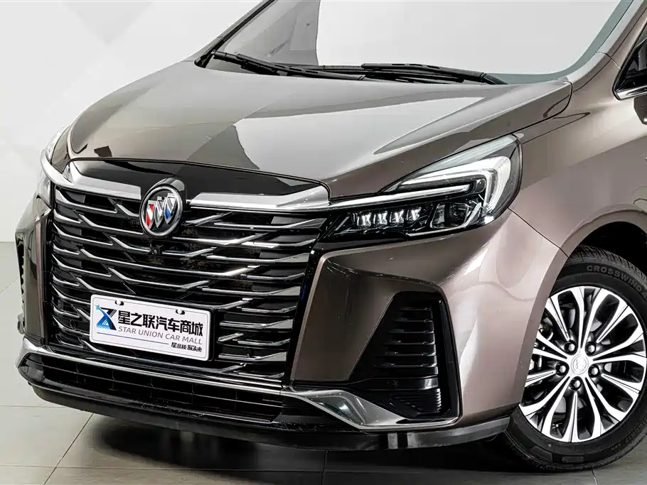 Buick GL8 — миниатюра 3