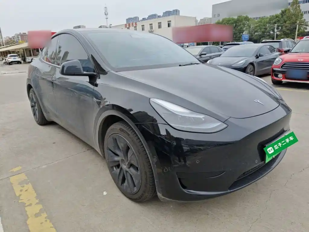 Tesla Model Y — миниатюра 4