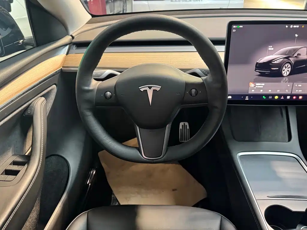 Tesla Model Y — миниатюра 6