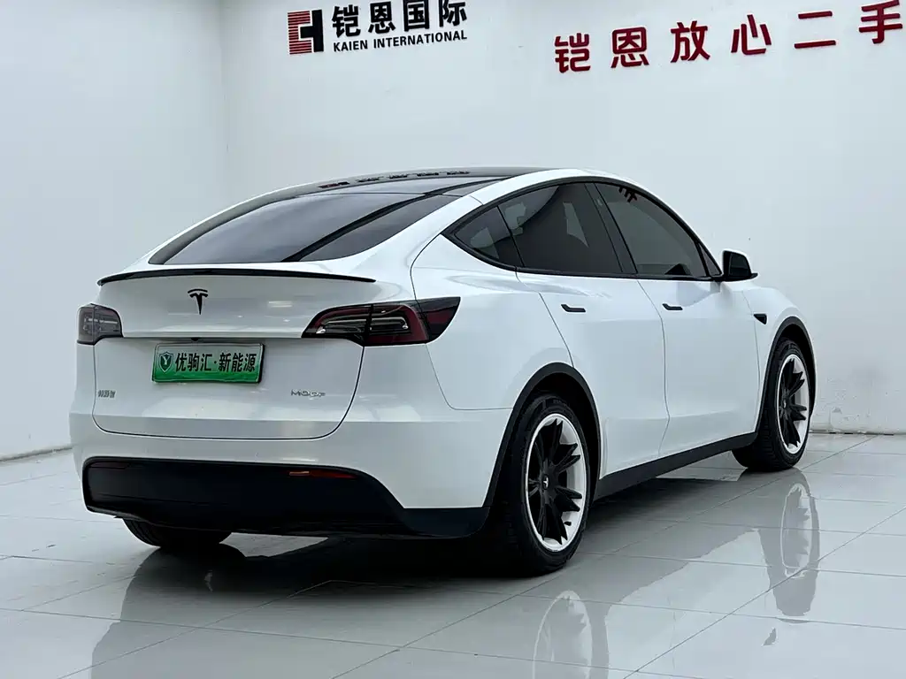 Tesla Model Y — миниатюра 4