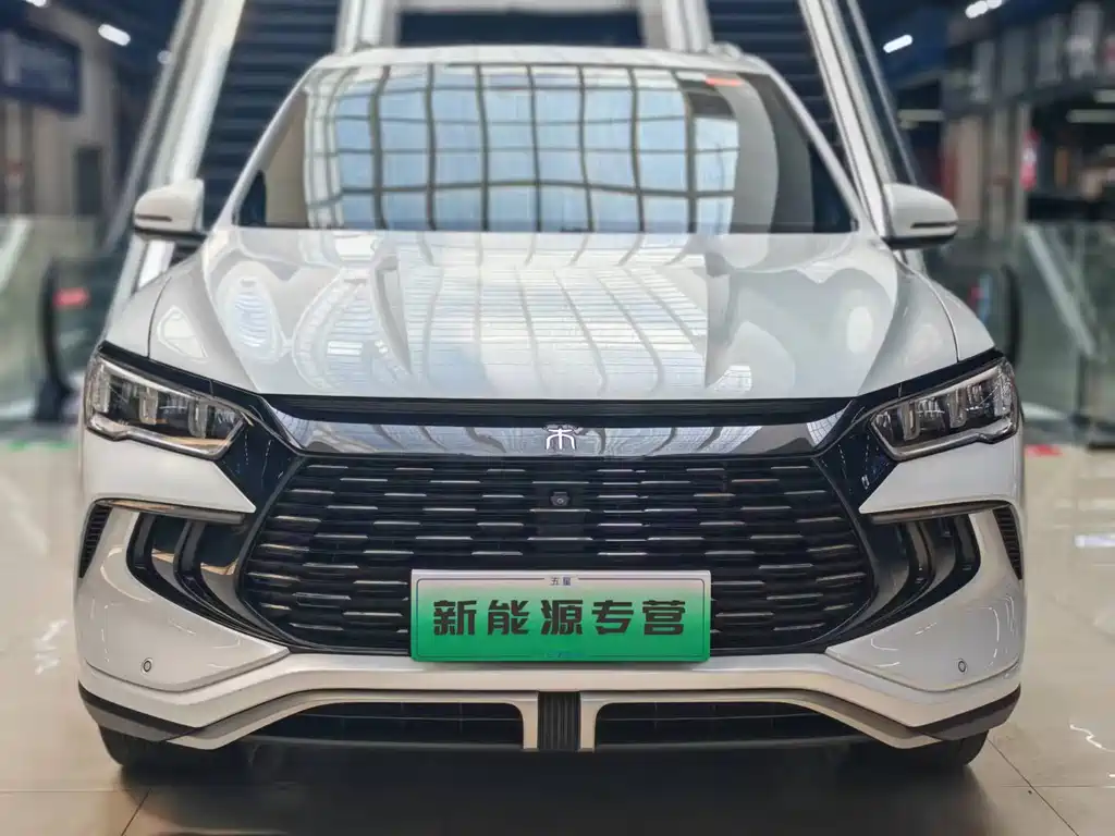 BYD Pro New Energy