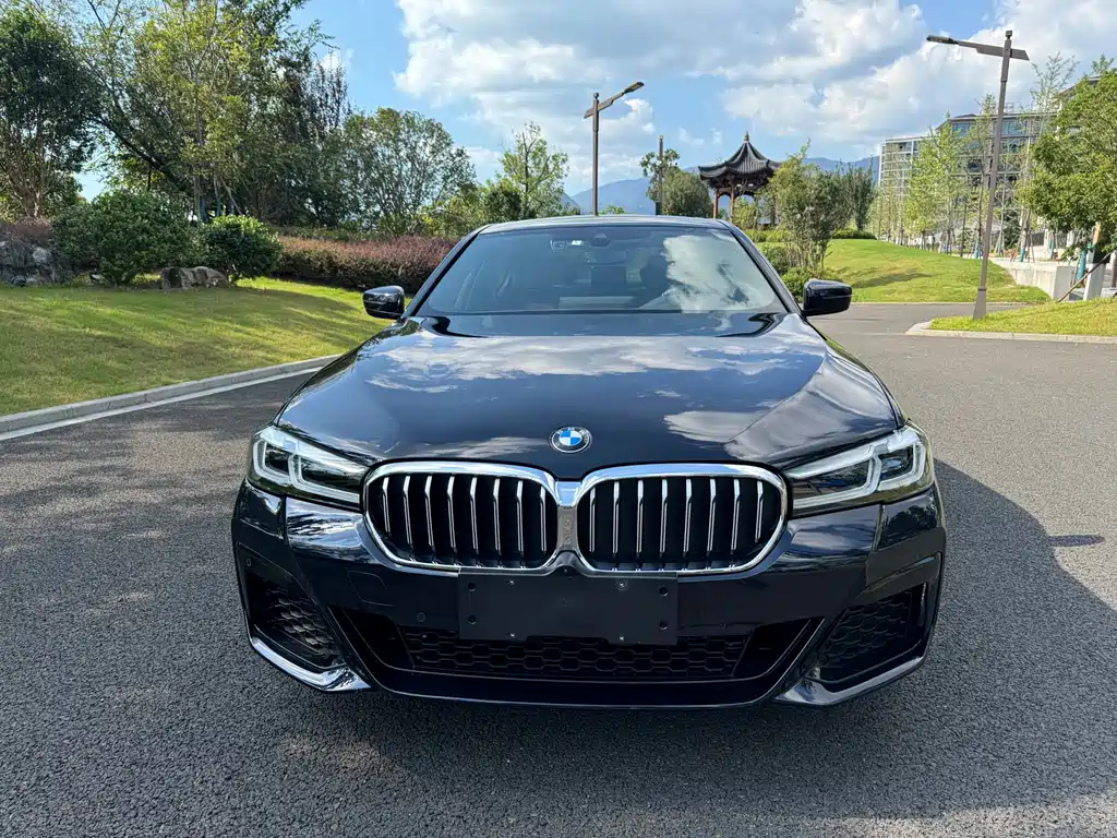 BMW 5 Series — миниатюра 3