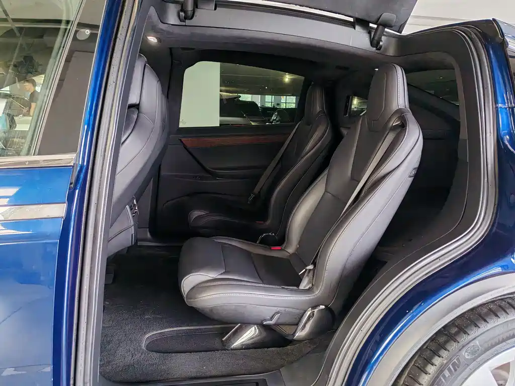 Tesla Model X — миниатюра 8