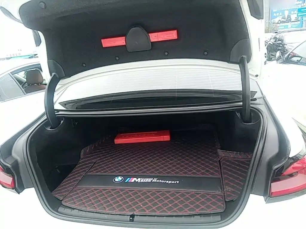 BMW 5 Series New Energy — миниатюра 19