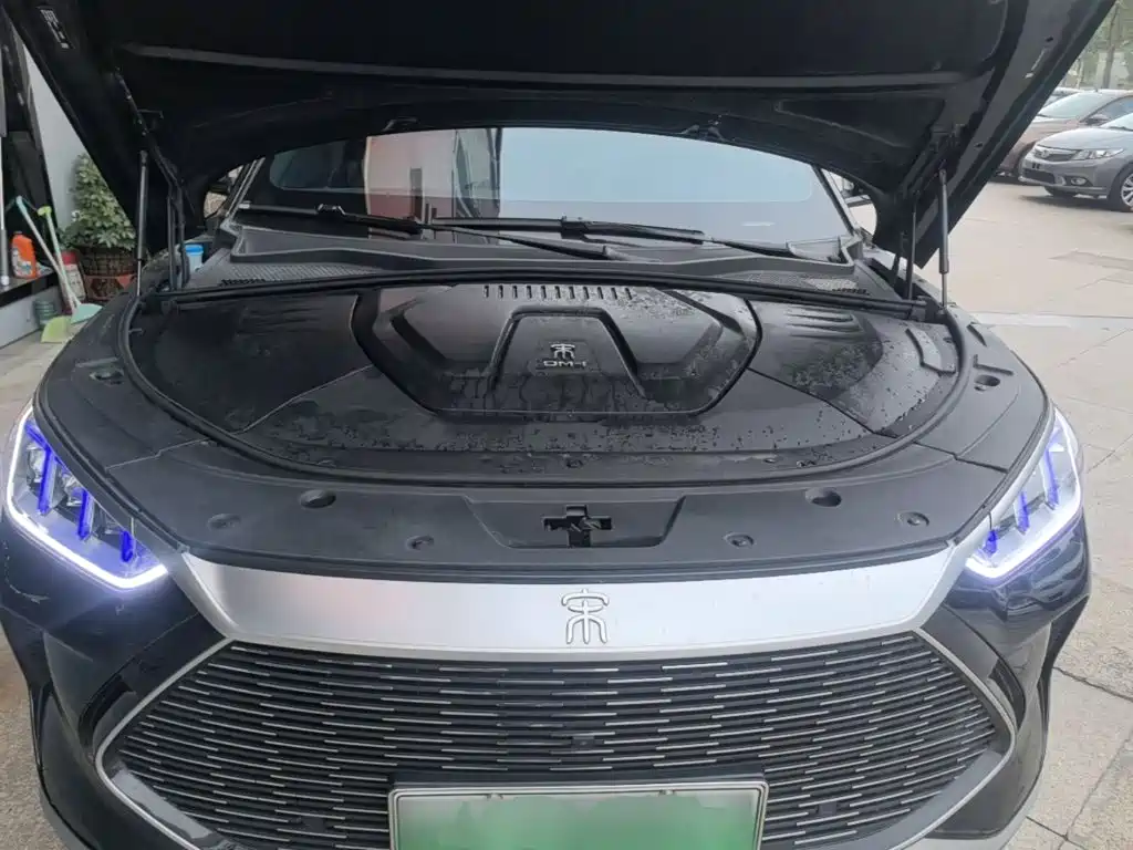 BYD PLUS New Energy — миниатюра 20
