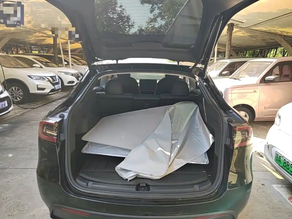 Tesla Model Y — миниатюра 19