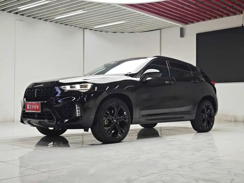 WEI PAI WEI BRAND VV7